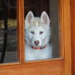 Profile Picture of Felix 't Hart Martínez (@felix25052004) on Instagram