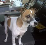 Profile Picture of Ronald Heath (@ronald.heath.395) on Facebook