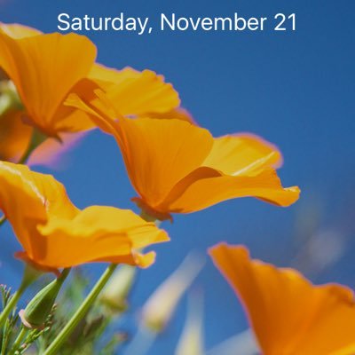 Profile Picture of Sandy Walters (@animalrights66) on Twitter