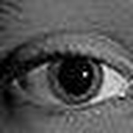 Daniel Vreeland - Flickr Profile Picture of Daniel Vreeland (@yanktxn) on Flickr