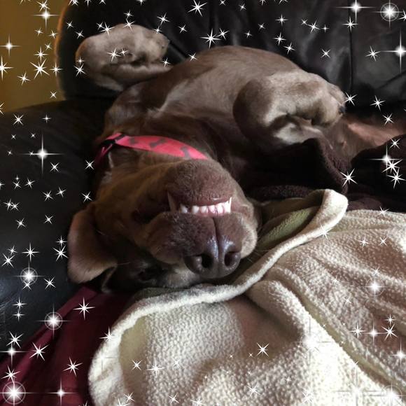 Profile Picture of Ryder Sakers (@rydersakers) on Poshmark