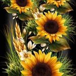 Profile Picture of Sherry Moen-austin (@sherrymoenaustin) on Instagram