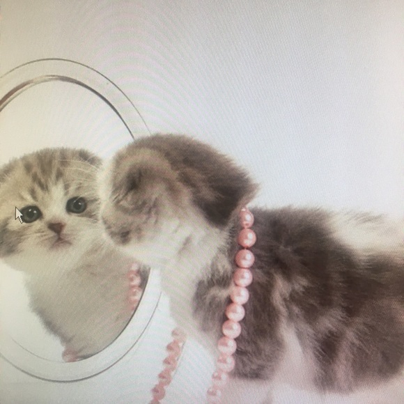 Profile Picture of Lisa Lagrua (@winnie1961) on Poshmark