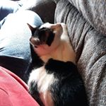 Profile Picture of Brendon Wright (@1234simple4321) on Instagram