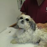 Profile Picture of Felecia Phillips (@felecia.phillips.10) on Instagram