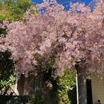 Profile Picture of Renata McMahon (@mcmahon_renata) on Instagram