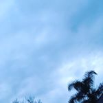 Profile Picture of Ian Nguyen (@nguyenit8211) on Instagram