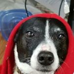 Profile Picture of Sean Shanahan (@shanahan.sean) on Instagram