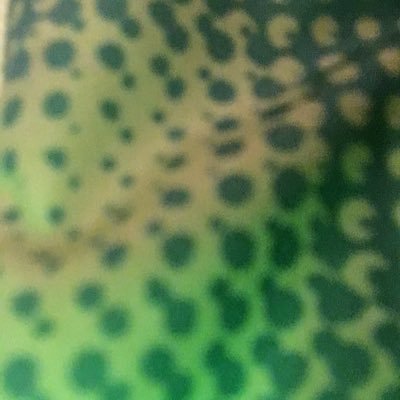 Profile Picture of Randy Castaneda (@RandyCastaneda6) on Twitter