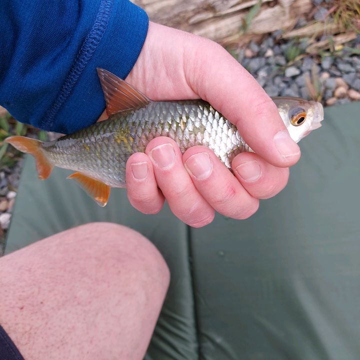 Profile Picture of xbox 1234567 (@james.r.phillips) on Tiktok