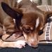 Profile Picture of Larry Stroble (@Larry-Stroble) on Facebook