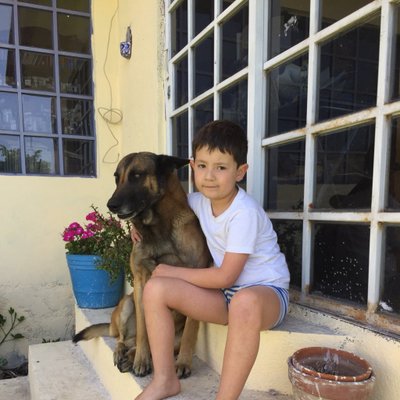 Profile Picture of Fernando Balderas (@fernandobal2) on Twitter