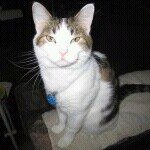 Profile Picture of David Rickel (@rxxd1) on Instagram