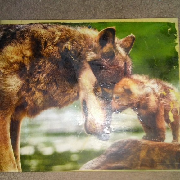 Profile Picture of Chris Sievers (@sieverschris506) on Poshmark