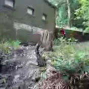 Profile Picture of Ben Davison (@davo27ced) on Youtube