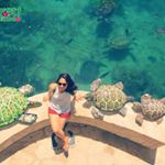 Profile Picture of Enriquez Lily (@enriquez130) on Instagram