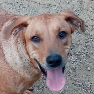 Profile Picture of Andrew Nunnally (@AndrewNunnally7) on Twitter