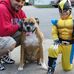 Profile Picture of Joseph Pecoraro (@Joseph-Pecoraro) on Facebook