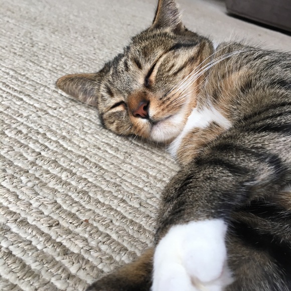 Profile Picture of Heather Conroy (@heatherconroy) on Poshmark