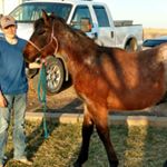 Profile Picture of tanner ellis (@tanner.elli) on Instagram