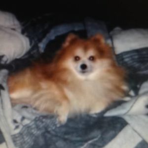 Profile Picture of Brittanie Watson (@beewatson) on Myspace