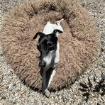 Profile Picture of Jeremy Kurtz (@jeremy.kurtz.908) on Facebook