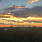 Profile Picture of Tommy Corrigan (@corrigantommy) on Instagram