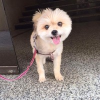 Profile Picture of Monique Faye Mendoza (@monique-faye-mendoza) on Quora