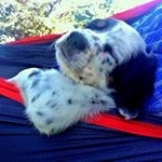 Profile Picture of Jim Bearden (@jimboinferno1) on Instagram