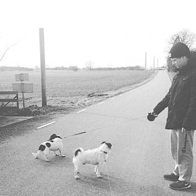 Profile Picture of Oscar Swenson (@swensonoscar) on Twitter