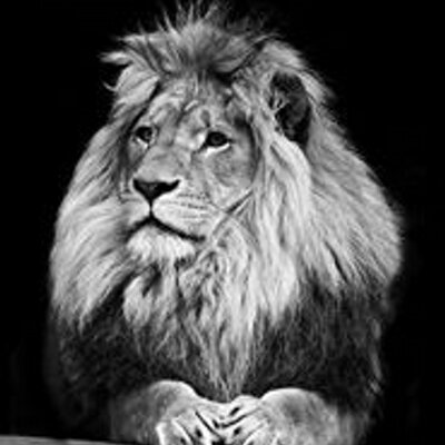 Profile Picture of ♈̷̴ (@AndrHazel) on Twitter