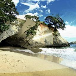 Profile Picture of Gloria R. Woolard (@AaronVField1) on Twitter