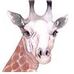 Profile Picture of Aaron Starnes (@aaron.starnes.92) on Facebook