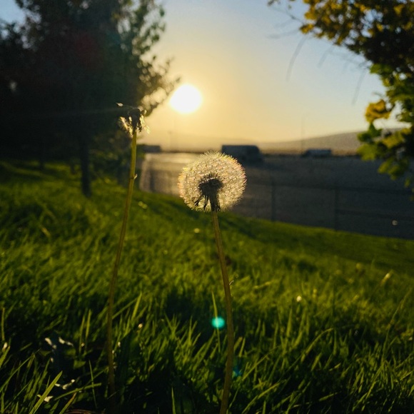 Profile Picture of Octaviano Ortiz (@oxv01) on Poshmark