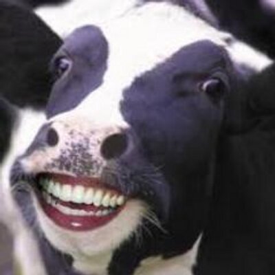 Profile Picture of Mr.Smiling Cow (@joseph_redfield) on Twitter