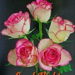 Profile Picture of Divya Pillai (@shruthi.nair.9047) on Instagram