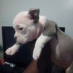 Profile Picture of andre Durham (@durham.andre) on Instagram