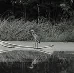 Profile Picture of Joanne Cordner (@joanne.cordner.3) on Facebook