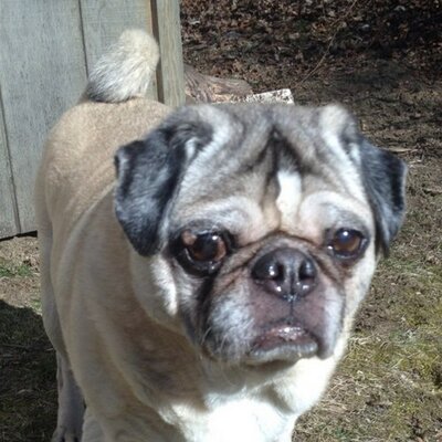 Profile Picture of Matthew Calvey (@Architect84) on Twitter