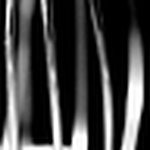 Profile Picture of Lichfield Festival 2008: Michael Barr (@Lichfield Festival 2008: Michael Barr) on Flickr