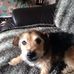 Profile Picture of Sharon Picken (@sharon.picken.56) on Facebook