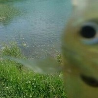 Profile Picture of Tyler Furness (@tyler-furness) on Quora