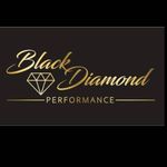 Profile Picture of Brandon Pedrick (@black__diamond__performance) on Instagram