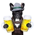 Profile Picture of Matt Tolley (@tolley_matt) on Instagram