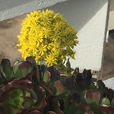 Profile Picture of Rod Micah Muhlen (@RodMicah) on Twitter