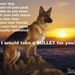 Profile Picture of Christie Hamblen-Schneider (@doodlesandboo) on Pinterest