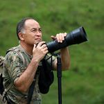 Profile Picture of ALBERTO TAMASHIRO🦅🦅🦅 (@albertotamashiro) on Instagram