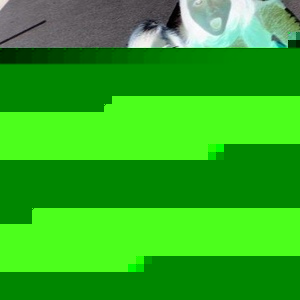 Profile Picture of Whitney Talbott (@201368386) on Myspace