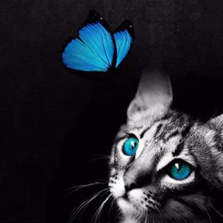 Profile Picture of Alina Vallecillo (@alina.vallecillo) on Facebook