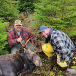 Profile Picture of Andrew Rideout (@rideoutandrew) on Instagram